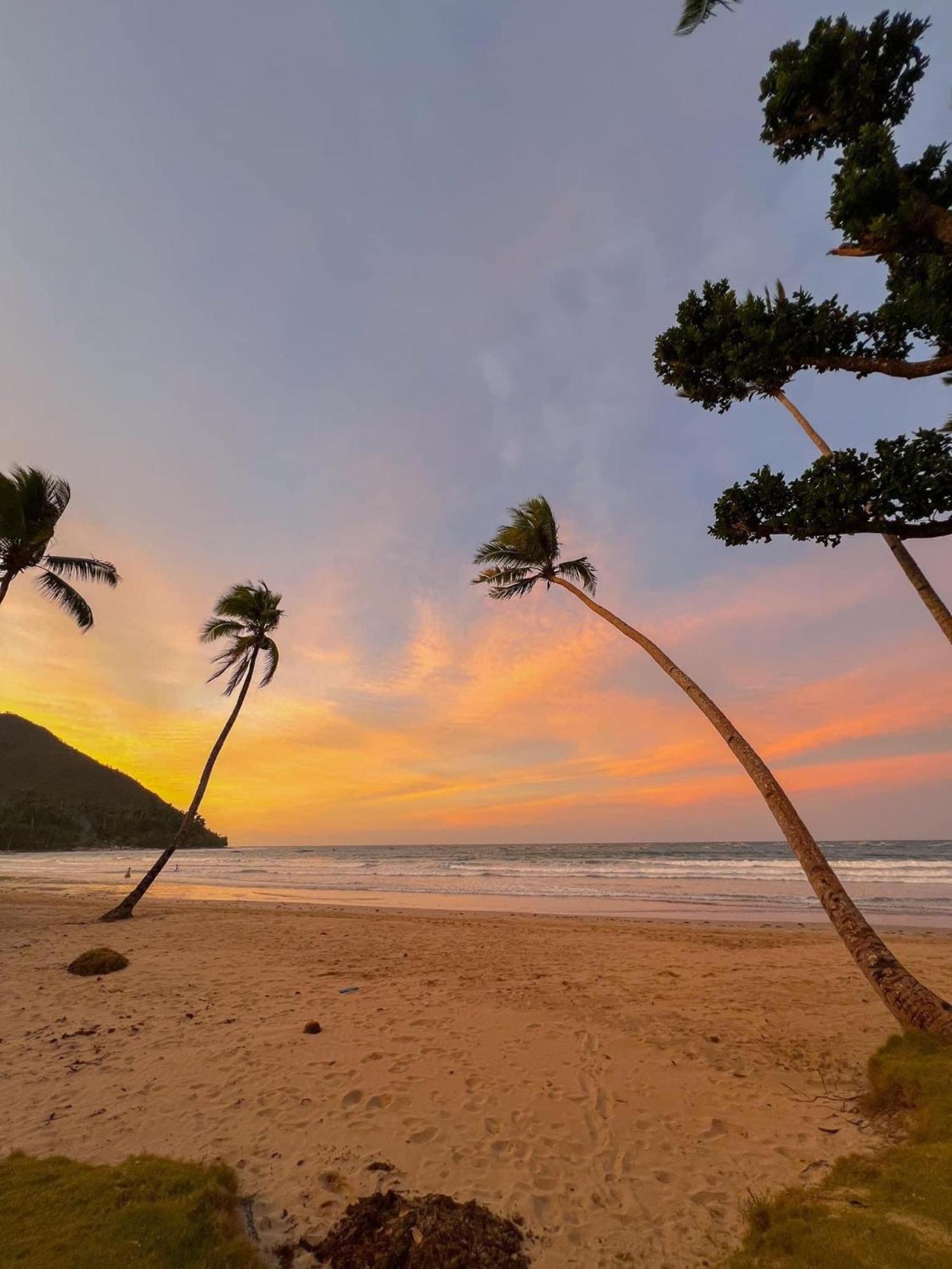 Hill Myna Beach Cottages ซาบัง ภายนอก รูปภาพ